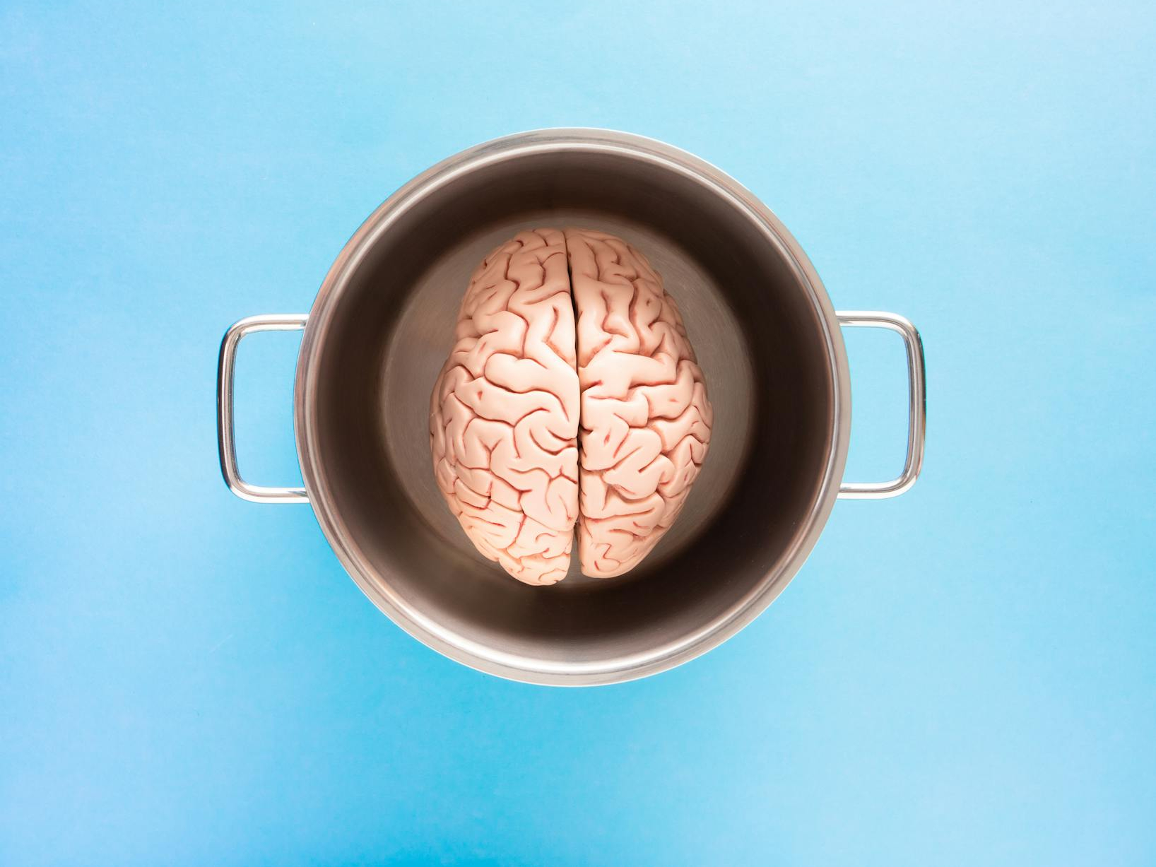 Cognitive Health: Nutritional Innovations for Brain Power